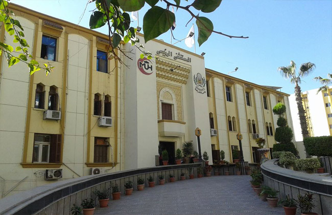 Mansoura University Specialized Medical Centers