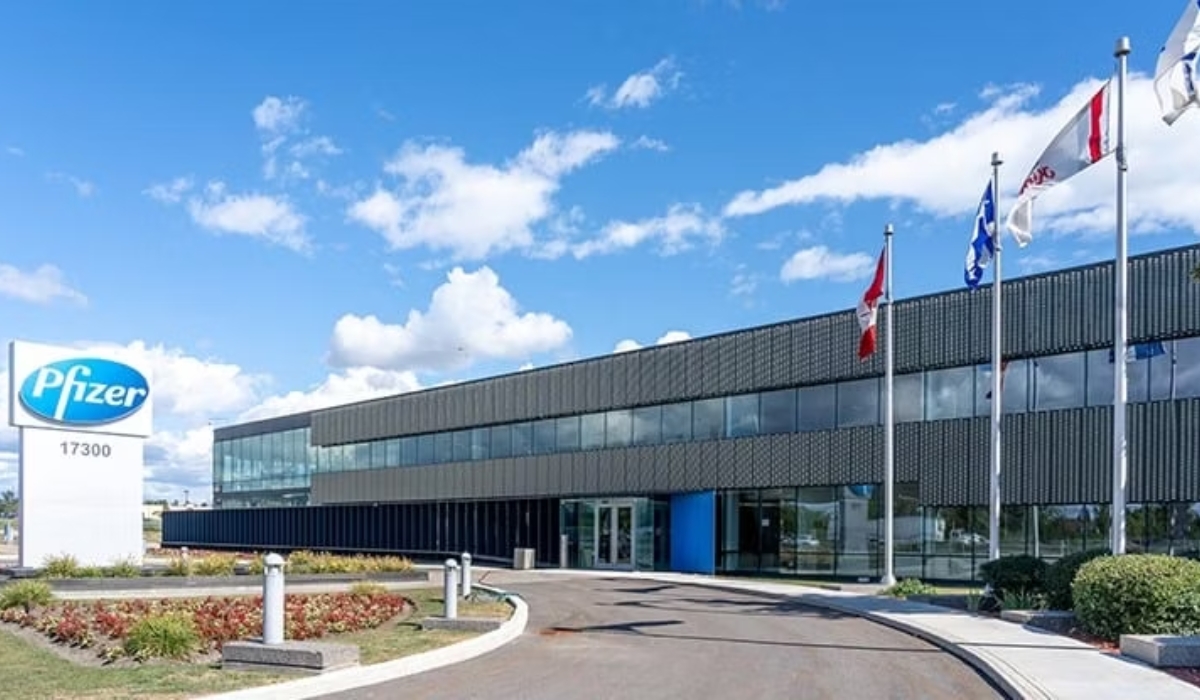 Technicians performing electromechanical system maintenance at Pfizer Pharmaceuticals Factory in 6th of October City